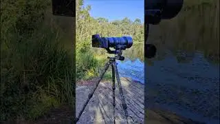 Fotopro E7 Camo-Eagle Series Gimbal Head Tripod FRENCH