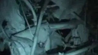 Haunted Vineyard