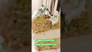 Vegan Ice Cream Cake with Sprinkles