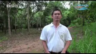 Asia Morning กาญจนบุรี ทองผาภูมิ