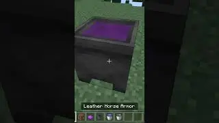 YOU CAN DYE LEATHER HORSE ARMOR!? Bedrock
