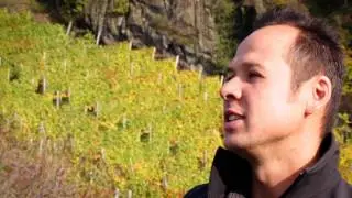 Weingut Marc Josten & Torsten Klein