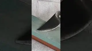 Sharpen Garden Scissors