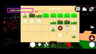 flower shop tour in mini block craft ||#sultanhasanchannel ||#gamplayvideo