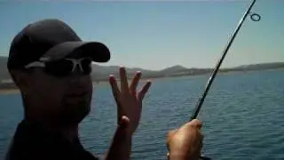 STRIPER NINE POUND ! HOGAN LAKE WILL + AN