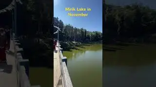 Mirik lake in November#scenic beauty #darjeeling #miriklake #tour