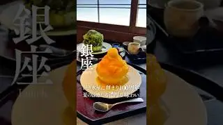 🍧銀座で味わう、涼と贅沢のかき氷体験🍵
