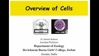 Overview of Cells