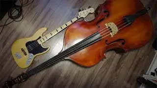 Fireflies - Owl City (Bass/Double Bass Cover Simon L&eacute;vesque)