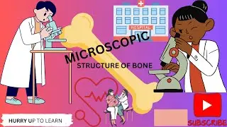 MICROSCOPIC STRUCTURE OF BONE (HAVERSIAN SYSTEM) #microscopeview #bones 