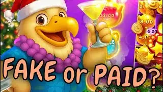 Отзывы о Cider Casino: Игра на реальные деньги или фейковые деньги?