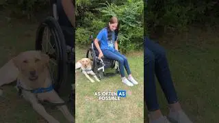 Chair to Floor Transfer #wheelchair #transfer #disabled #wheelchairtransfer #disability