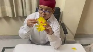 3D Sea Animals - Origami