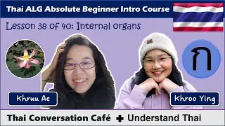 Internal organs (Thai Conversation Caf&eacute; ft. Understand Thai: Absolute Beginner Intro Course)