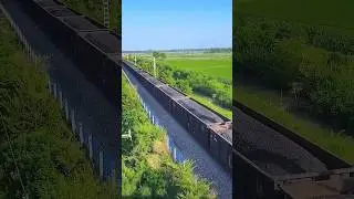 Why Coal Trains Use Water Spray! 👀💧 #shorts