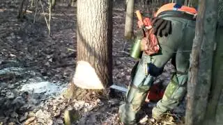 Open face cut
