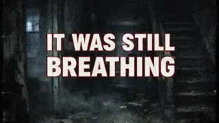 The Audio File That Was Found After Everyone Was Gone