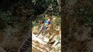 palang#viral #trending #shortvideo #sumidas #whatsappstatus #sumidas ##