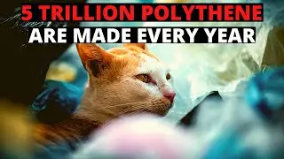 The problems of plastics bags