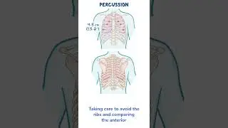 Assessment Clips: Assessment of the thorax and lungs