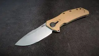 FSB -- ZT 0308:  ZT Goes Back To Their Roots and Wins Big!