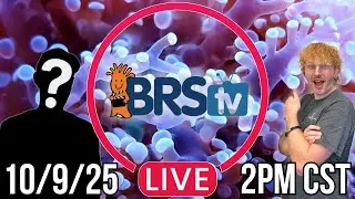 LIVE Q&A Reef Tank Chat! 10/9 at 2PM CST