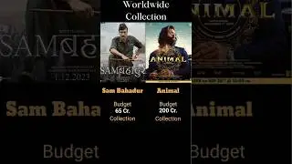 Animal vs Sam Bahadur Day 4 Worldwide Box Office Collection #animal #sambahadur