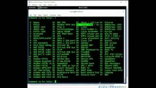 Linux Tips: Filesystems, Disk Management, and Directories Made Simple