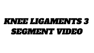 Knee Ligaments Explained: Surgeon, Athlete, and My ACL Story