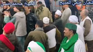 الشيخ محمد حسن من مولد سيدي علي زين العابدين ٢٠٢٤