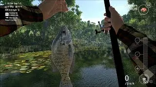 The Fisherman - Fishing Planet Gameplay (PC HD) [1080p60FPS]