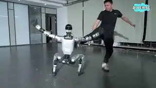 The Robot That Can Outsmart Human-Unitree&rsquo;s Combat Skills Are Terrifying
