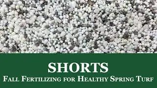 Fall Fertilizing for Healthy Spring Turf