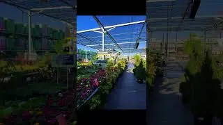 POV: GARDEN TOUR #metaglasses #pov #fyp #garden #plants
