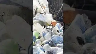 Stop using single use plastic!