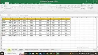 MS Excel Basic Till Advance   Vlookup  Data Validation Highlight & Remove Duplicate GRAPH