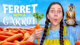 Ferret with a Carrot - Official Music Video