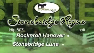 H807 STONEBRIDGE ROGUE BBook