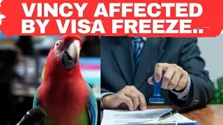 What being on  U.S. Visa Restriction List means for  SVG and Caribbean?