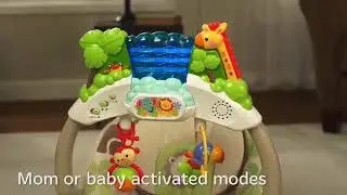 babyrent.md Rainforest Friends Deluxe Bouncer Fisher Price