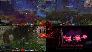 Guild Wars 2 &ndash; Под навесом | Обзор сюжетной главы и анализ мира