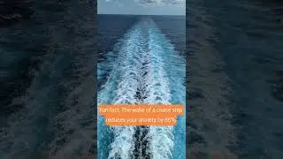 Science and your travel agent agree! #cruising #cruisingsecrets #cruisingscience #msccruises