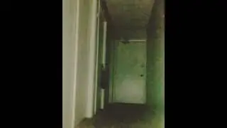 Orbs