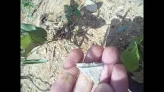 Early Archaic Point