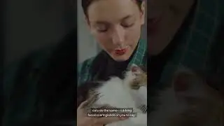 &ldquo;Why Cats Headbutt You (It&rsquo;s Not What You Think!)&rdquo;