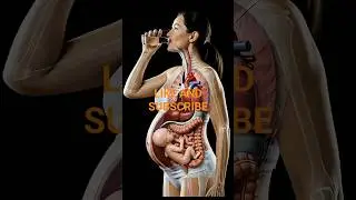 What Really Happens Inside the Body When a Pregnant Woman Drinks Water 💧🤰#healthypregnancy