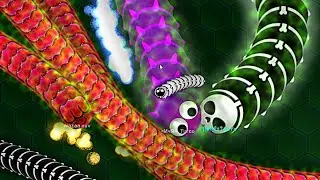 Wormax.io - Best Moments #36 [NK]