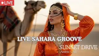 HABIBI EDM Arabic 🔴 LIVE 24/7 | Nonstop Drive & Chill Vibes