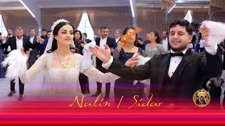 Nalin & Sidar / HALFETI Dügünü / Grup Hewra / YORNAK Production