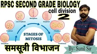 mitosis|phases of mitosis|cell division|NEET|second grade biology|cell cycle|prophase, metaphase etc